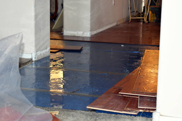 Professional Flood Damage Repair technician working in Austerlitz, NY